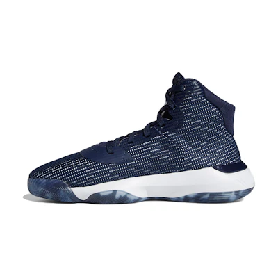 adidas Pro Bounce 2019 Blue/White