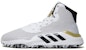 adidas Pro Bounce 2019 GCA 'Putih Kasut Sukan' EF8787