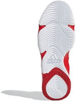 プロネクスト 2021 スカーレット (Puro Nekusuto 2021 Sukāretto) G58890 Details for プロネクスト 2021 スカーレット (Puro Nekusuto 2021 Sukāretto) G58890