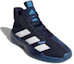 Lookbook adidas Pro Next 2019 ''Blu Collegiale'' F97272