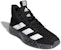 adidas Pro Next 2019 Hitam Teras Putih Awan EF9845