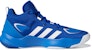 adidas Pro Next 2021 'Biru' G58891