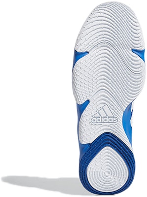 adidas Pro Next 2021 'Blue' G58891 Details for adidas Pro Next 2021 'Blue' G58891