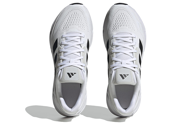 Purchase adidas Questar 'Putih Hitam' IF2228