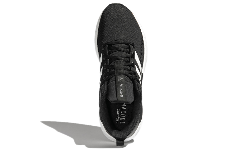 Purchase adidas Questar Climacool Zwart/Wit GY3352