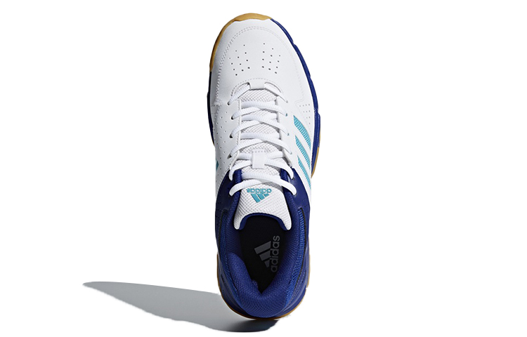 Purchase adidas 快速力量 3.1 白藍