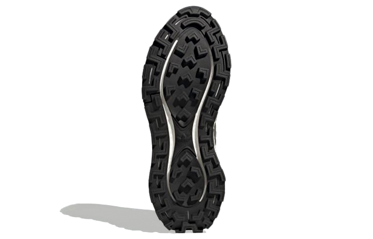 Details for 阿迪达斯 Retropy P9 '黑碳' GW9341