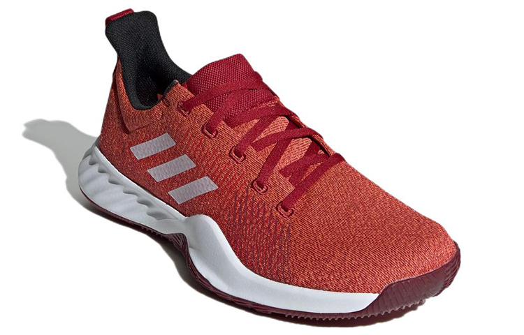 Lookbook アディダス ソーラーLT ダークレッド DB3404