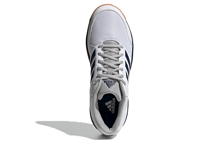 Purchase adidas Speedcourt Indoor Handbalschoenen ''Wit Navy'' EF2623
