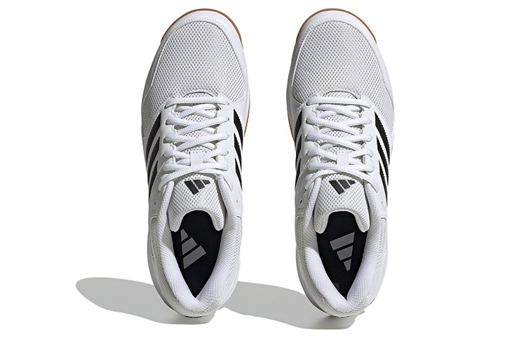 Purchase adidas Speedcourt Volleybalschoenen ''Wit Gum Zwart'' ID9498