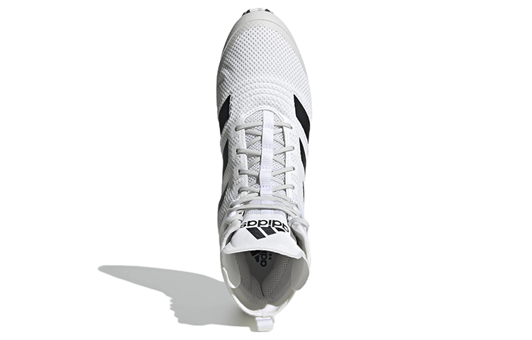 Purchase adidas Speedex Chaussures de Boxe Résistantes ''Blanches'' GY4083