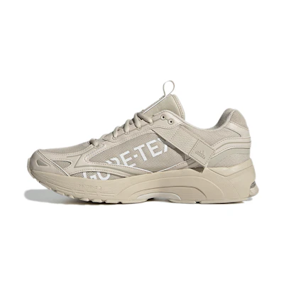 adidas Spiritain 2000 GTX 'Clear Brown'