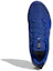 Purchase adidas Terrex Agravic 'Azul Academy' FZ4447