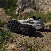 Purchase adidas TERREX AGRAVIC GTX 2 登山跑鞋 灰色/黑色/橙色 HQ5090