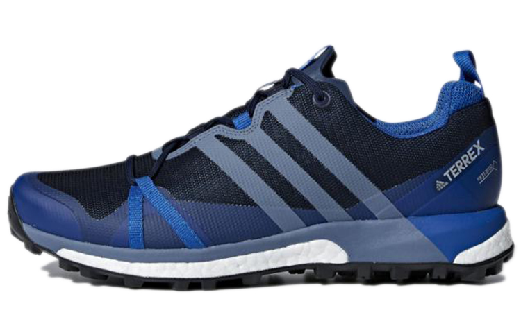 Buy adidas Terrex Agravic GTX ''Blau Schwarz'' CM7611
