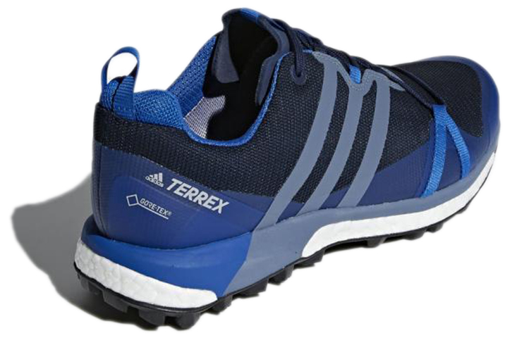 Shop adidas Terrex Agravic GTX ''Blau Schwarz'' CM7611