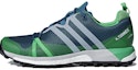 Buy adidas Terrex Agravic GTX 'Biru Hijau' CM7612