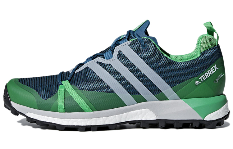 adidas Terrex Agravic GTX 'Blue Green' CM7612