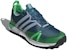 adidas Terrex Agravic GTX 'Biru Hijau' CM7612
