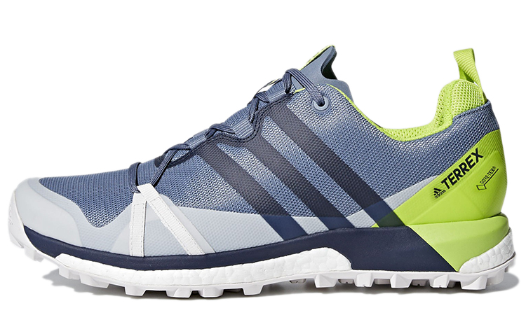 adidas Terrex Agravic GTX 'Blue Lime' CM7613