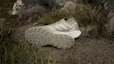 Order Adidas Terrex Agravic GTX Trail Running Shoes Blanch Cargo/Alumina/Putty Beige JR1507