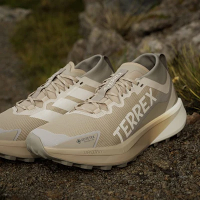 Adidas Terrex Agravic GTX Trail Running Shoes Blanch Cargo/Alumina/Putty Beige JR1507 2