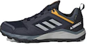 Buy adidas Terrex Agravic TR Gore-Tex Scarpe Trail Running EF6870