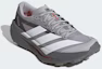 Shop adidas Terrex Agravic TT 越野跑鞋 灰白/雲白/反光銀 JS3518