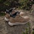 Adidas Terrex Anylander Climawarm+ Hiking Shoes Cardboard/Cardboard/Core Black JS1431