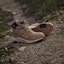 Cheap Adidas Terrex Anylander Climawarm+ Hiking Shoes Cardboard/Cardboard/Core Black JS1431