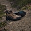 Cheap Adidas Terrex Anylander Mid Rain.Rdy Hiking Boots Cardboard/Core Black/Shadow Olive JQ9963