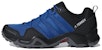 adidas Terrex AX2R 'Keindahan Biru' AC8033