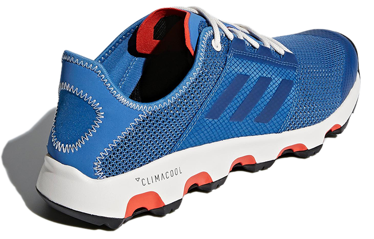 Shop adidas Terrex CC Voyager ''Bleu Blanc'' CM7538