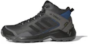Buy 愛迪達 Terrex Entry Hiker Mid Gore-tex 黑藍灰