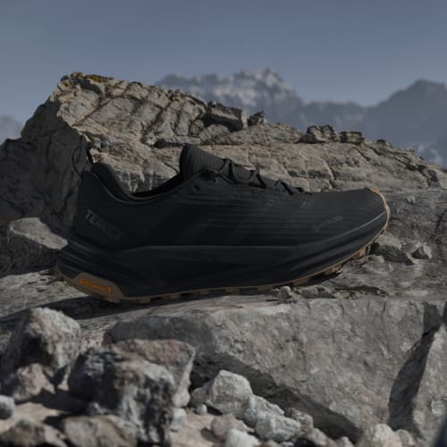 Lookbook adidas Terrex Free Hiker 3 Low GORE-TEX 登山鞋 黑色/黑色/棕氧化色 HQ9292