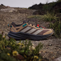 Shop adidas Terrex Free Hiker SL GTX 登山鞋 男 地層棕/米色/純綠松石 KJ4429