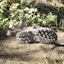 Shop adidas Terrex Hydroterra Sandal 'Arang Padat' IE8009