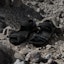Purchase Adidas Terrex Hydroterra Sandal JQ2231