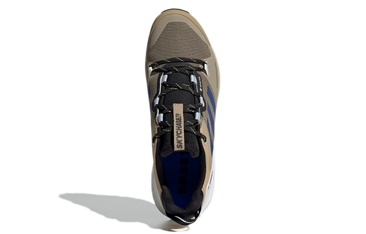 Purchase adidas Terrex Skychaser 2.0 Gore-Tex 'Beige Azul Intenso' FZ3335