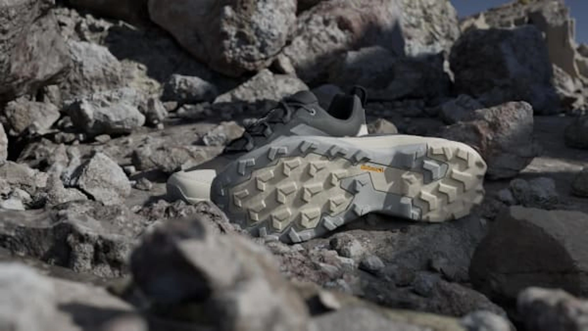 Adidas TERREX Skychaser AX5 GTX Hiking Shoes Carbon/Grey Four/Alumina