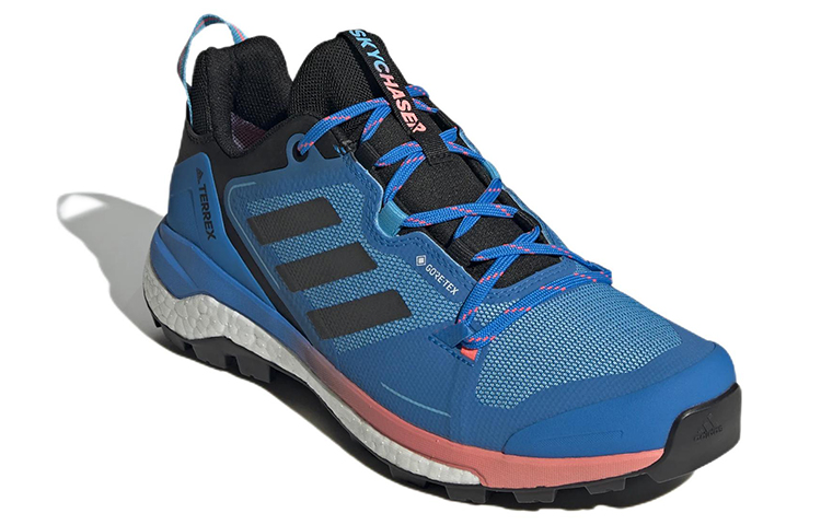 Lookbook adidas Terrex Skychaser Gore-tex 2.0 Randonnée ''Bleu'' GZ0321