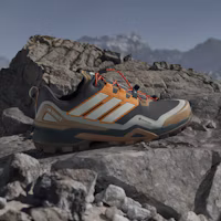 Shop adidas Terrex Skychaser GTX 登山鞋 碳灰/米白/橘色 JR3987