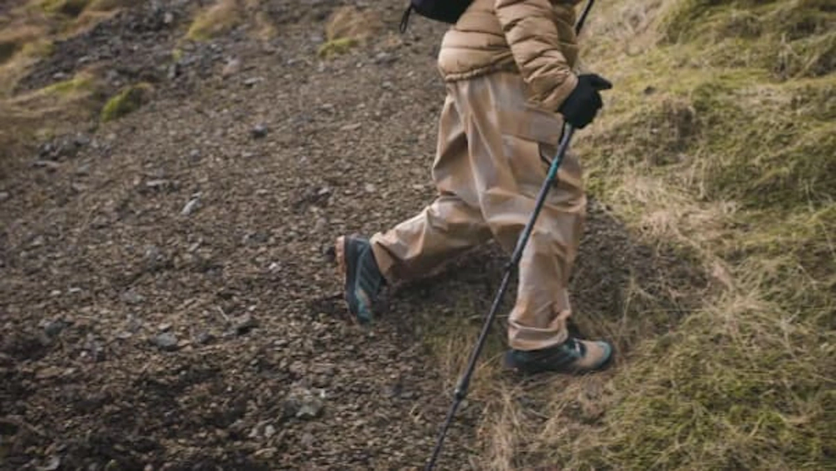 Adidas TERREX Skychaser GTX Hiking Shoes Cardboard/Core Black/Legend Ivy