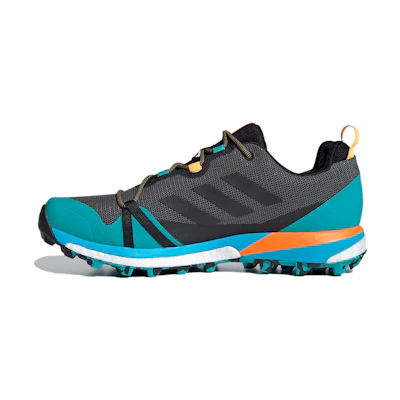adidas Terrex Skychaser Lt GTX 'Grey Blue'