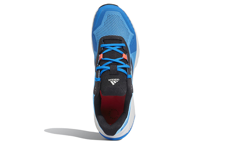 Purchase adidas Terrex Soulstride ''Blauw Wit'' GZ9035