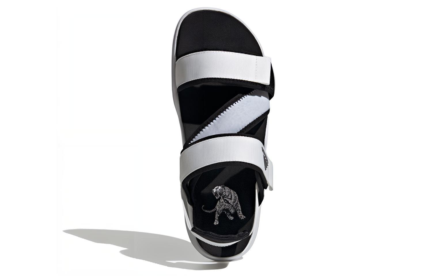 Shop adidas Terrex Sumra ''Blanc Noir'' FW4867