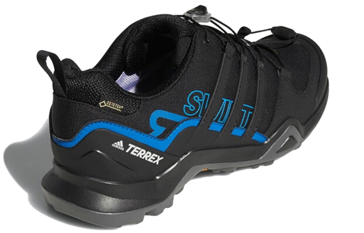 Shop adidas Terrex Swift R2 GTX ''Noir Bleu Brillant'' AC7829
