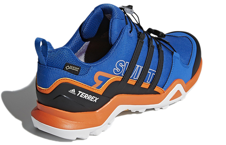 Shop adidas Terrex Swift R2 GTX ''Bleu Noir'' CQ1942