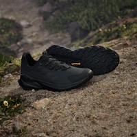 Cheap Adidas TERREX Trail Maker 2.0 皮革 黑色/黑色/灰色四號 ID0886