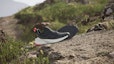 Lookbook adidas Terrex Trailmaker 2.0 GORE-TEX 'Kelabu Karbon' IE5148